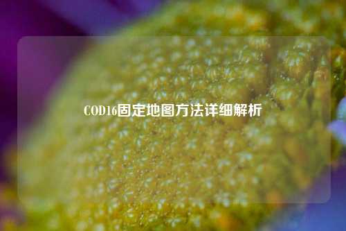 COD16固定地图 *** 详细解析