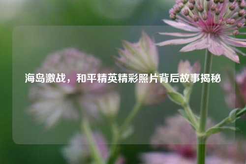 海岛激战，和平精英精彩照片背后故事揭秘