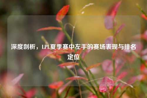 深度剖析，LPL夏季赛中左手的赛场表现与排名定位