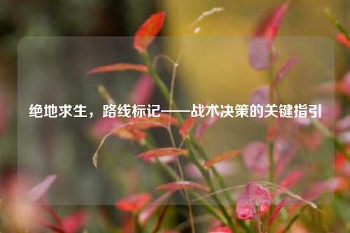 绝地求生，路线标记——战术决策的关键指引