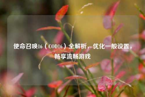 使命召唤16（COD16）全解析，优化一般设置，畅享流畅游戏