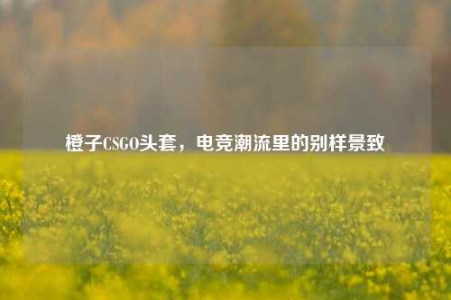 橙子CSGO头套，电竞潮流里的别样景致