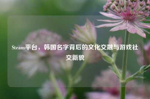 Steam平台，韩国名字背后的文化交融与游戏社交新貌