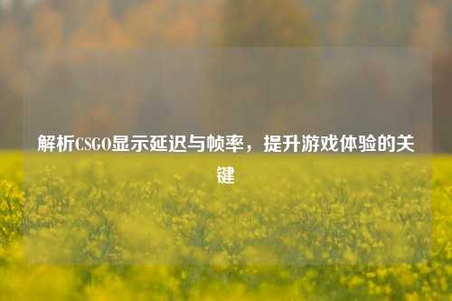 解析CSGO显示延迟与帧率，提升游戏体验的关键
