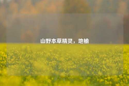 山野本草精灵，地榆