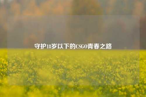 守护18岁以下的CSGO青春之路