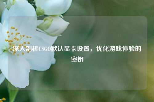 深入剖析CSGO默认显卡设置，优化游戏体验的密钥