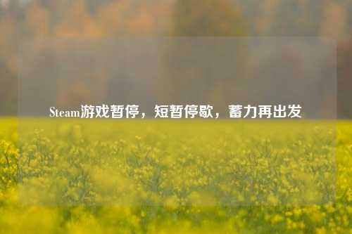 Steam游戏暂停，短暂停歇，蓄力再出发
