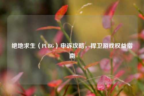 绝地求生（PUBG）申诉攻略，捍卫游戏权益指南