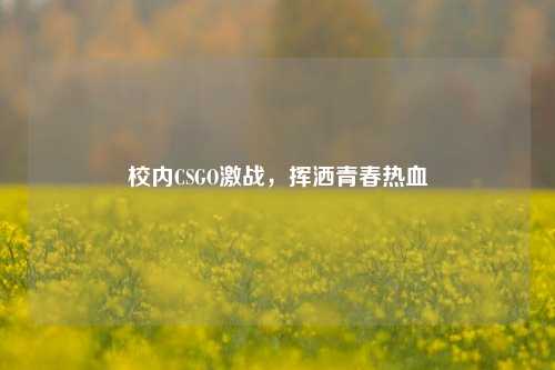 校内CSGO激战，挥洒青春热血