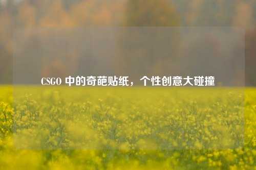 CSGO 中的奇葩贴纸，个性创意大碰撞