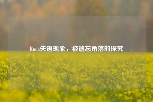 Roca失语现象，被遗忘角落的探究