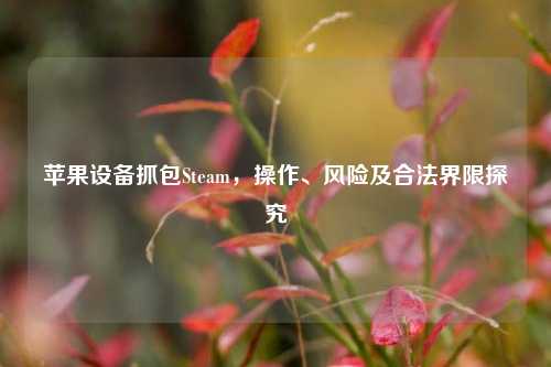 苹果设备抓包Steam，操作、风险及合法界限探究