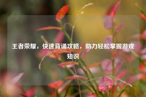 王者荣耀，快速背诵攻略，助力轻松掌握游戏知识