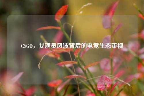 CSGO，女演员风波背后的电竞生态审视