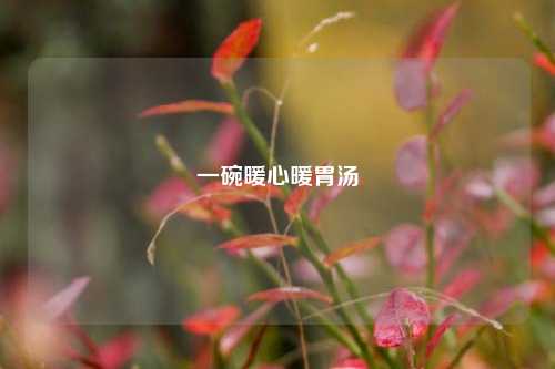 一碗暖心暖胃汤