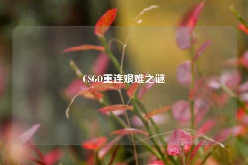 CSGO重连艰难之谜