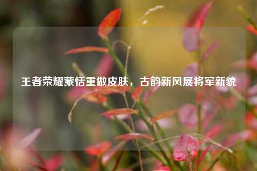 王者荣耀蒙恬重做皮肤，古韵新风展将军新貌