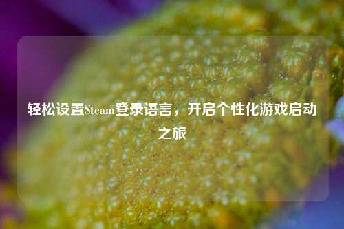 轻松设置Steam登录语言，开启个性化游戏启动之旅