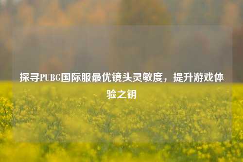 探寻PUBG国际服更优镜头灵敏度，提升游戏体验之钥