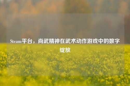 Steam平台，尚武精神在武术动作游戏中的数字绽放