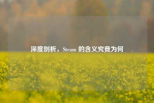 深度剖析，Steam 的含义究竟为何