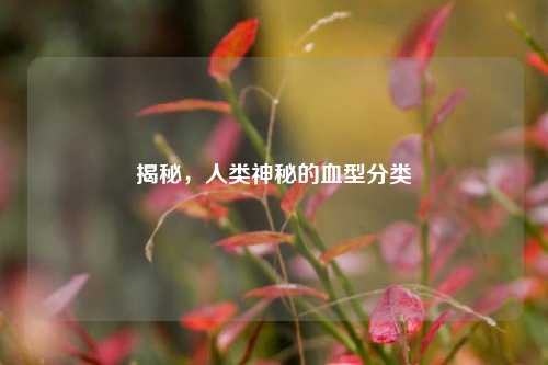 揭秘，人类神秘的血型分类