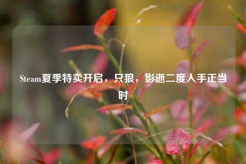 Steam夏季特卖开启,只狼,影逝二度入手正当时