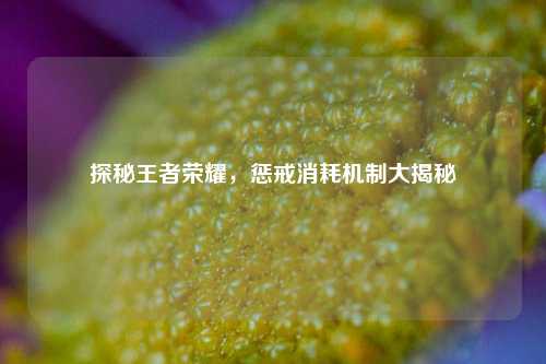 探秘王者荣耀,惩戒消耗机制大揭秘