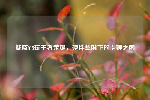 魅蓝M5玩王者荣耀，硬件掣肘下的卡顿之困