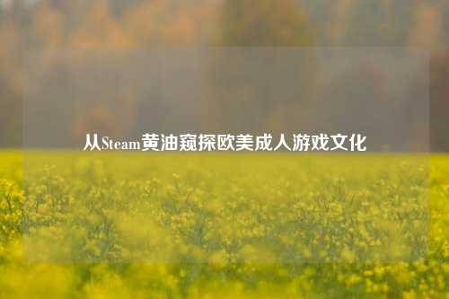 从Steam黄油窥探欧美 *** 文化