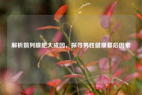 解析前列腺肥大成因，探寻男性健康幕后因素