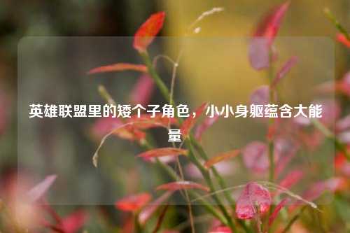 英雄联盟里的矮个子角色，小小身躯蕴含大能量