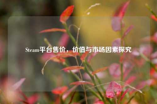 Steam平台售价，价值与市场因素探究