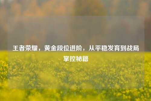 王者荣耀，黄金段位进阶，从平稳发育到战局掌控秘籍