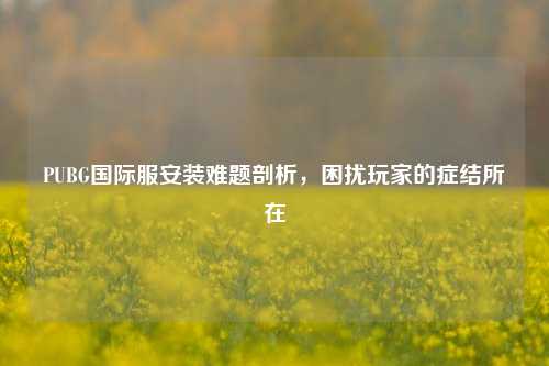 PUBG国际服安装难题剖析，困扰玩家的症结所在