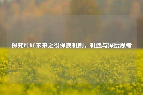 探究PUBG未来之役保底机制，机遇与深度思考