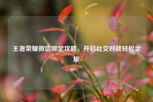 王者荣耀微信绑定攻略,开启社交对战轻松之旅