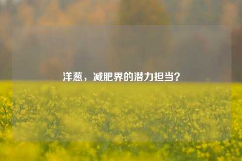 洋葱,减肥界的潜力担当?
