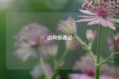 山风惊魂记