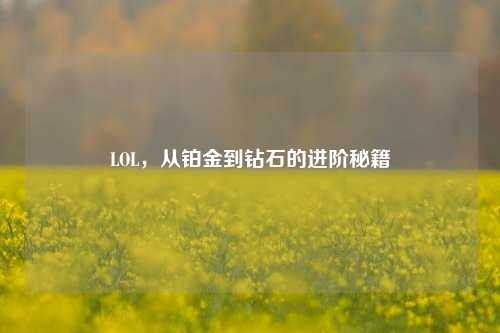 LOL,从铂金到钻石的进阶秘籍