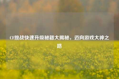 CF挑战快速升级秘籍大揭秘，迈向游戏大神之路