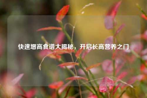 快速增高食谱大揭秘,开启长高营养之门