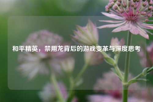 和平精英,禁用龙背后的游戏变革与深度思考