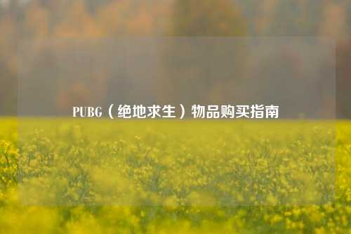 PUBG(绝地求生)物品购买指南