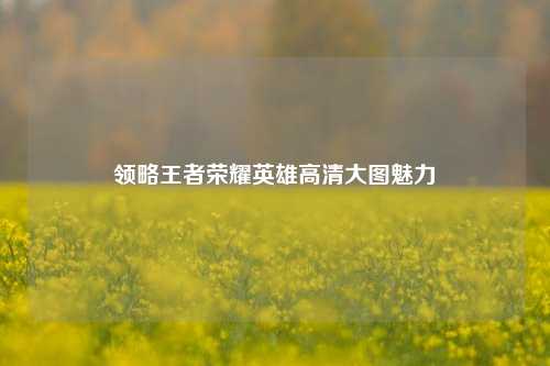 领略王者荣耀英雄高清大图魅力