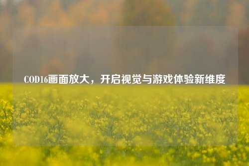 COD16画面放大,开启视觉与游戏体验新维度