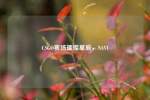 CSGO赛场璀璨星辰，NAVI