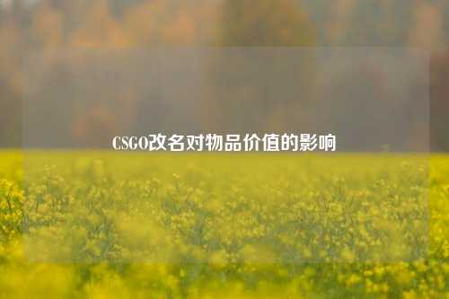 CSGO改名对物品价值的影响