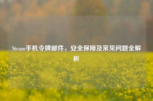 Steam手机令牌邮件，安全保障及常见问题全解析